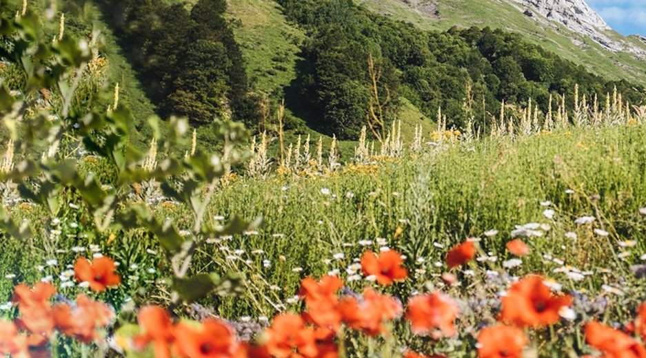 beauty biodiversity