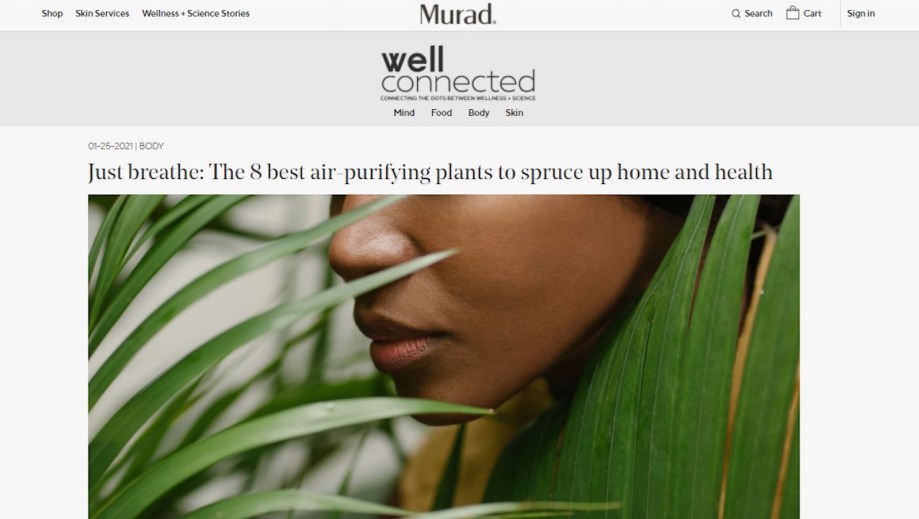 well connected murad