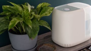 canopy humidifier