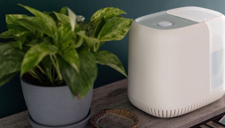 canopy humidifier