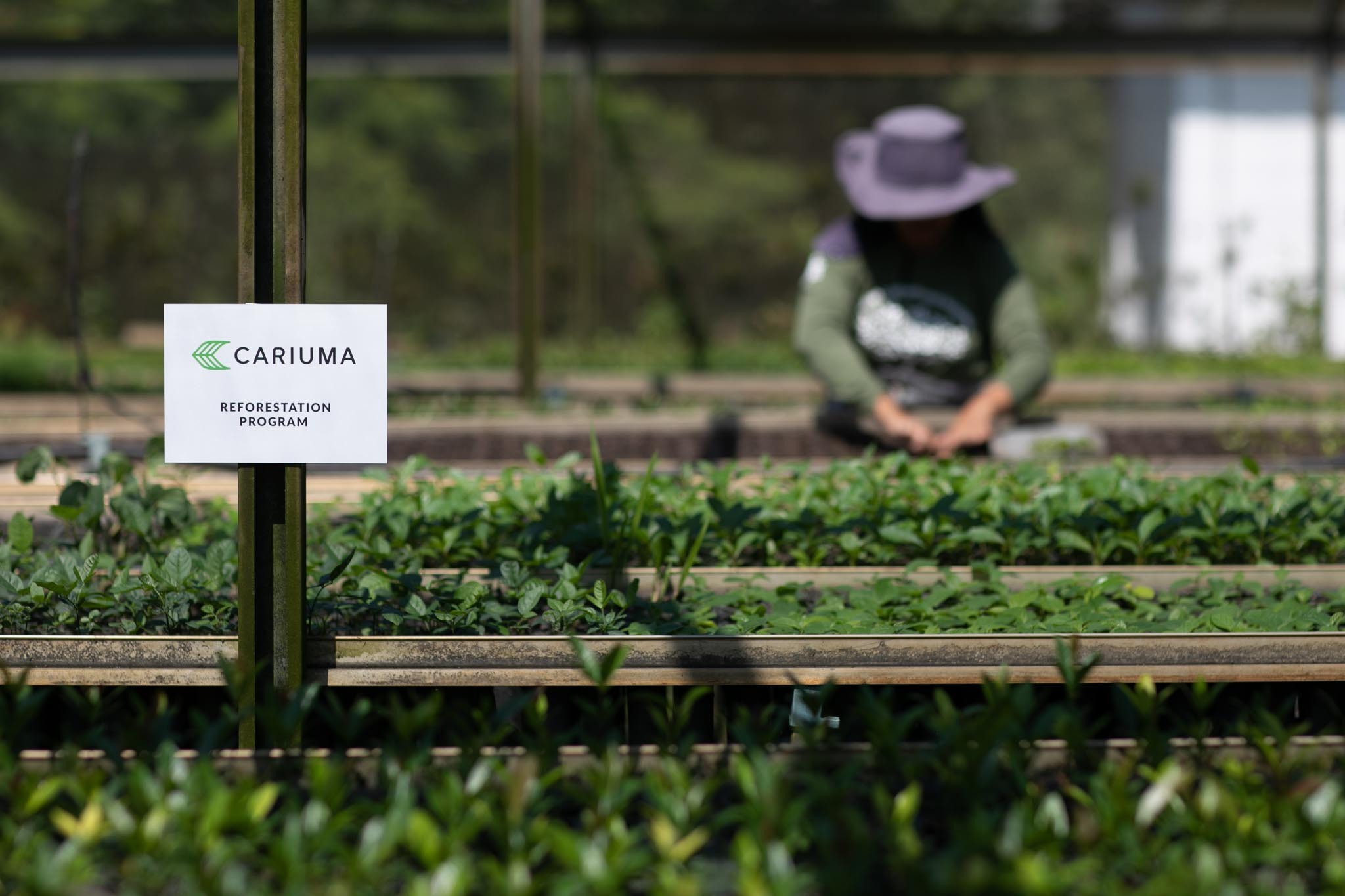 Cách các thương hiệu thời trang đang thực hiện các dự án trồng rừng đúng đắn Cách các thương hiệu thời trang đang thực hiện các dự án trồng rừng đúng đắn