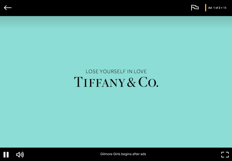 Louis Vuitton and Tiffany & Co. are embracing Netflix's new ad-supported  tier