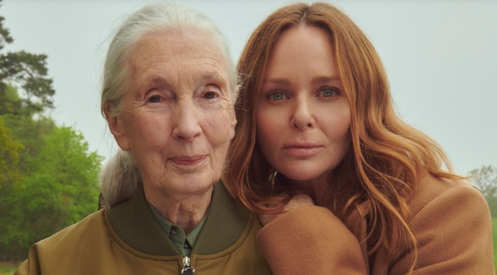 Stella McCartney demonstrates how to market sustainable skin care