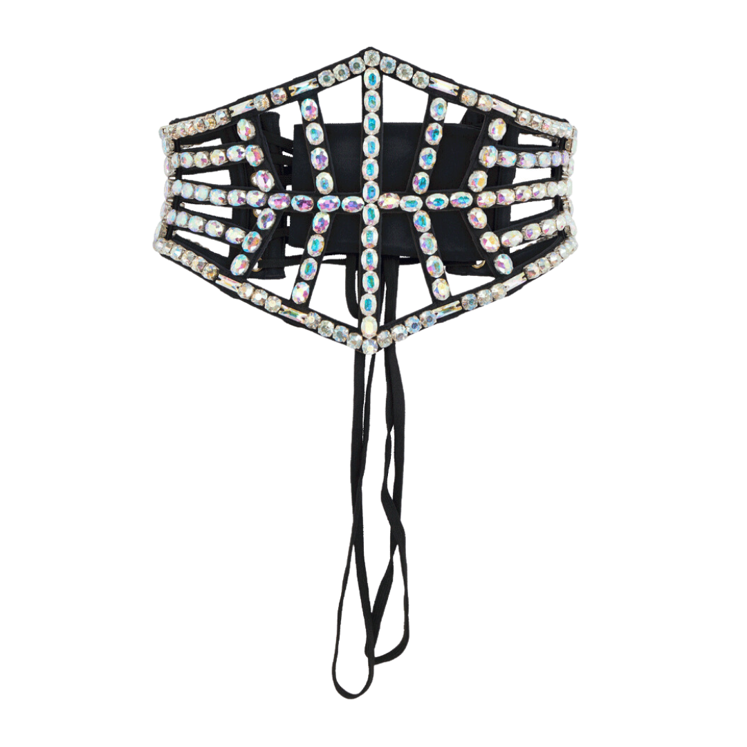 洋書 Agent Provocateur Exhibitionist Agent Provocateur Launch New Book Exhibitionist Editorial