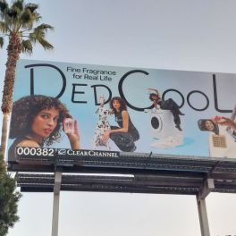 Carina Chaz on Dedcool’s rise from dorm room project to $30 million fragrance brand