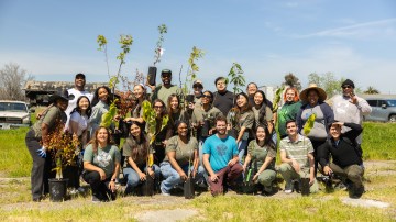 As Los Angeles braces for an even hotter summer, Origins bets on tree canopy to cool cities