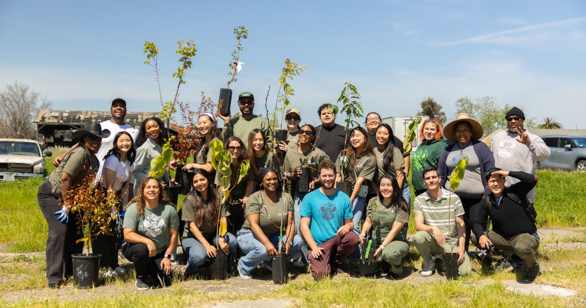 As Los Angeles braces for an even hotter summer, Origins bets on tree canopy to cool cities